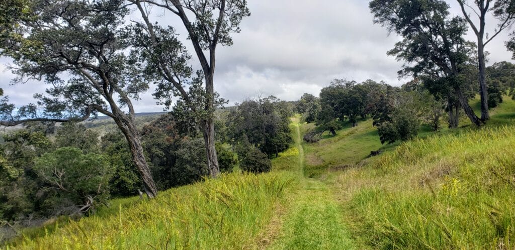 Hawai’i Volcano National Park recently reopened the Kona Trail and Glover Trails in the Kahuku Unit.