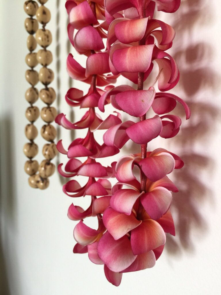 If you’re visiting the Big Island on May 1st, you’ll notice that May Day is Lei Day here and all across Hawai'i Nei! This year, we won’t be able to celebrate in person, so we're sharing Tutu's tips for celebrating virtually by crafting, displaying, and exchanging the perfect May Day Lei! Find out how to continue the tradition of making May Day Lei Day and celebrating this colorful Hawaiian holiday!
