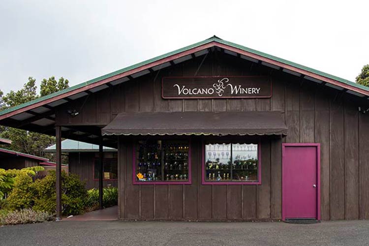 Volcano Winery, the southernmost winery in the U.S. 